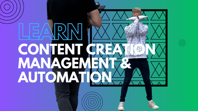 Content Management & Organization